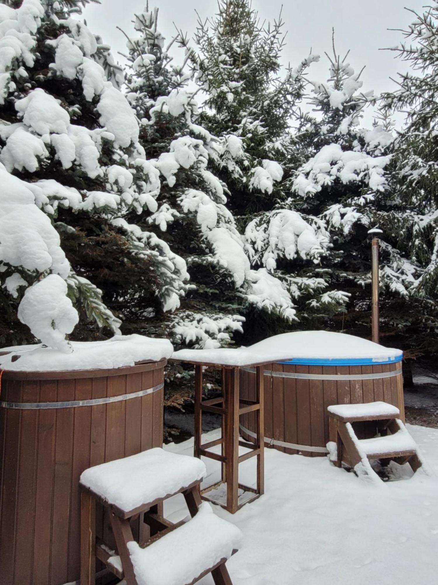 Holiday home Dom Pod Brzoza-urowo Urowo